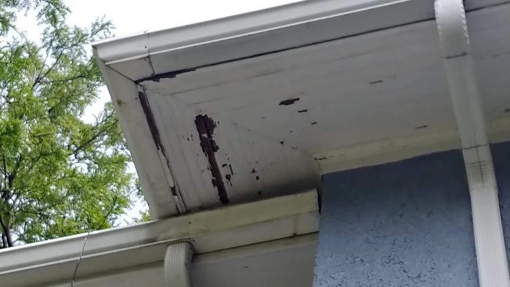 failing gutters fascia soffit rot