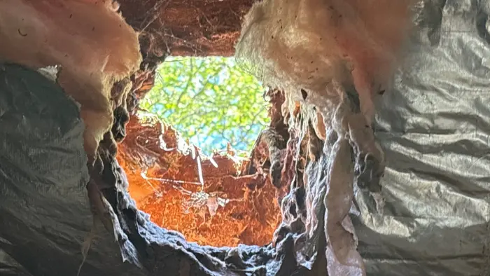 hole roof leaks water insulation hinsdale il