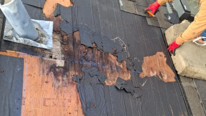 shingle repair leak damaged roof sheathing