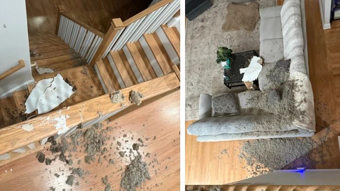 leaking water damaged floors furniture