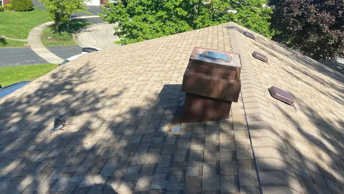 roof shingles light color woodridge