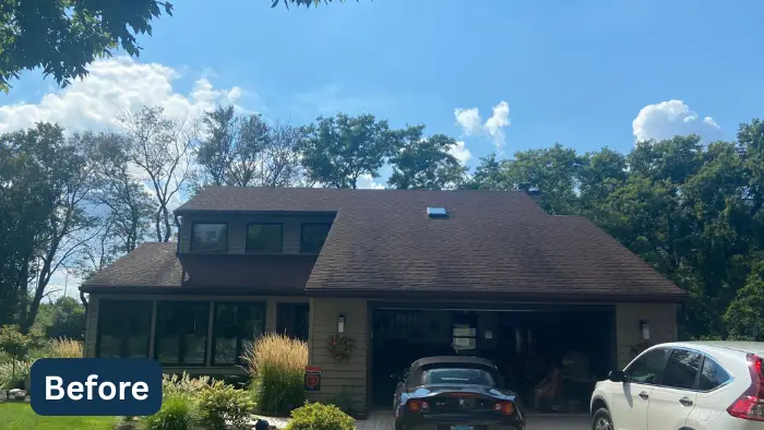 Before Carol Leo roof in Downers Grove, IL