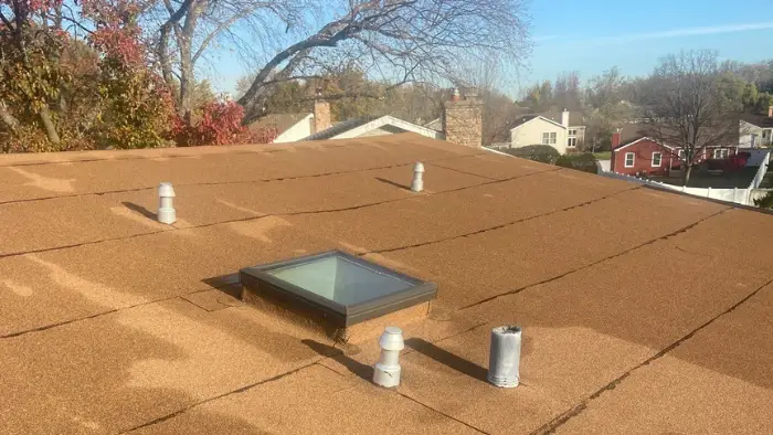 flat roof section Tim in Woodridge