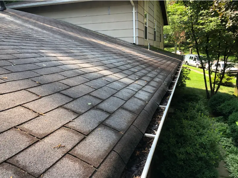 Cheap roof shingles causing leaks from storm chaser installation