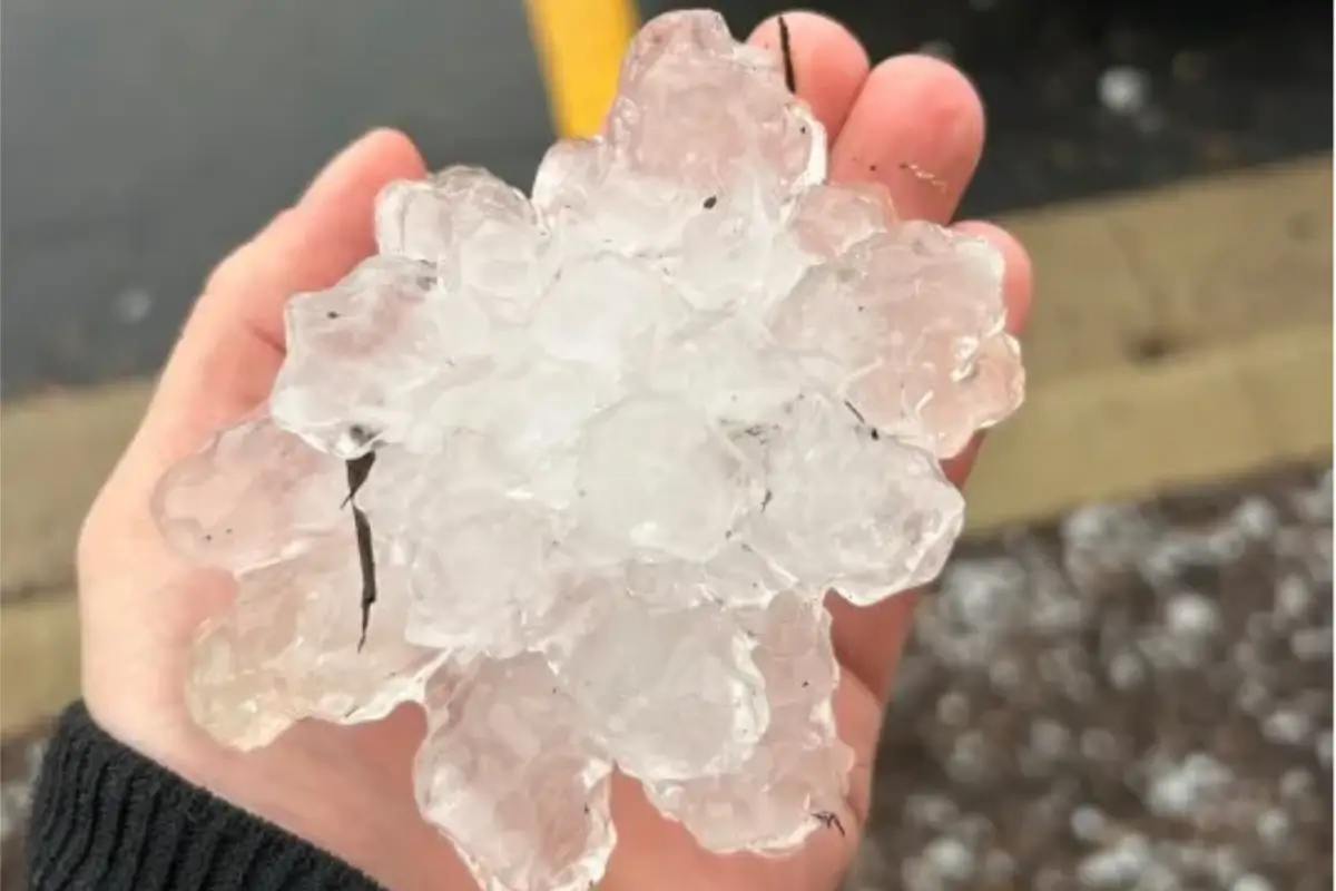 Large hail chunks on ground in Westmont IL after March 10 2026 storm