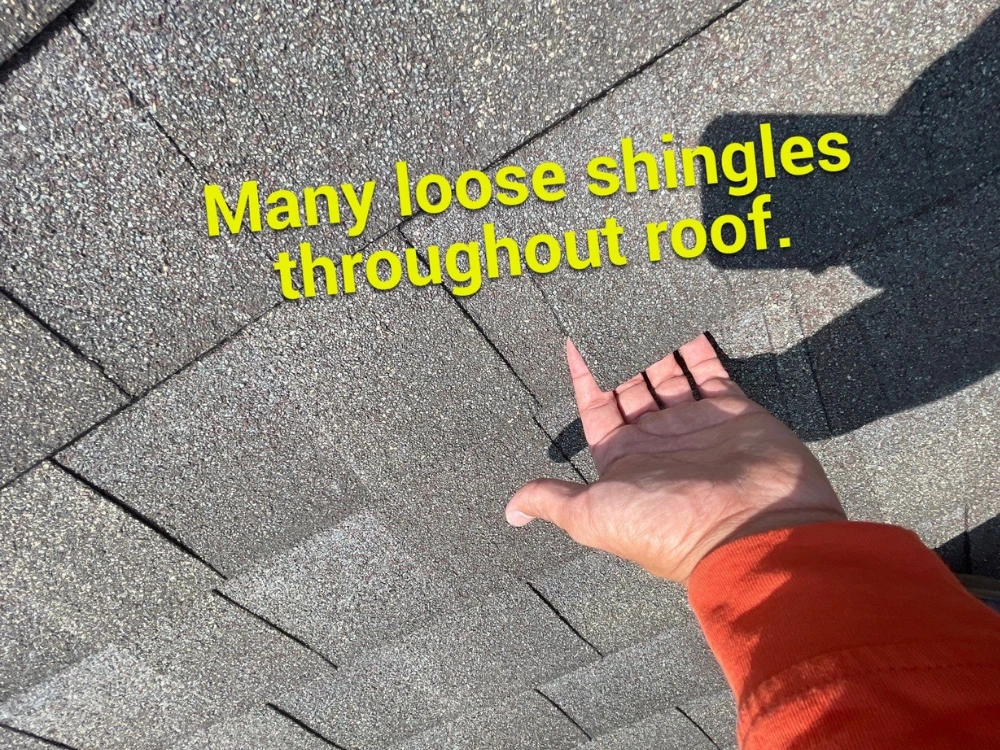 Shingle lifted loose by straight-line wind on a La Grange, Illinois roof